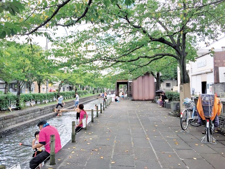 公園環境の改善