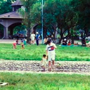 主婦と議員の二足のわらじ