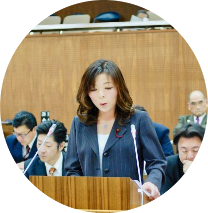 議会の様子